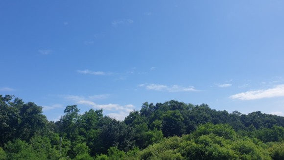 d77769f94b2dd90ffa3f4e41439eec35_1671095776_4699.jpg